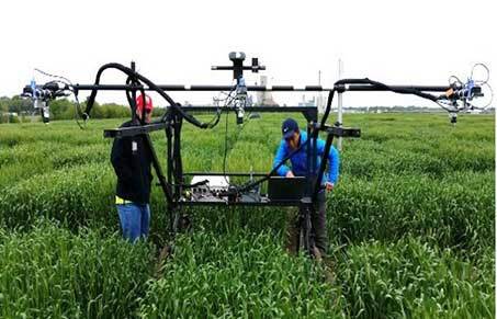 ts-ag-plants-sotry2.jpg